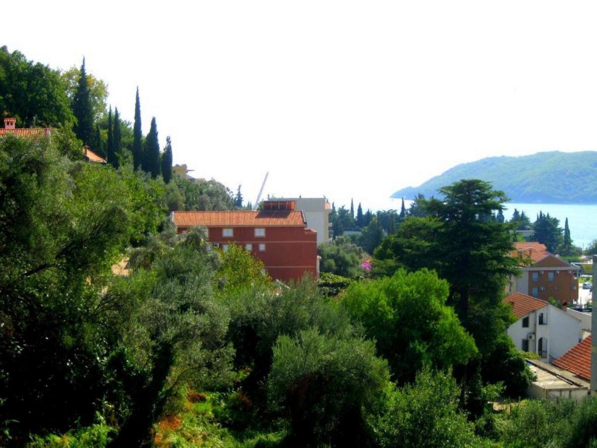 Villa Seka Μπούντβα Εξωτερικό φωτογραφία